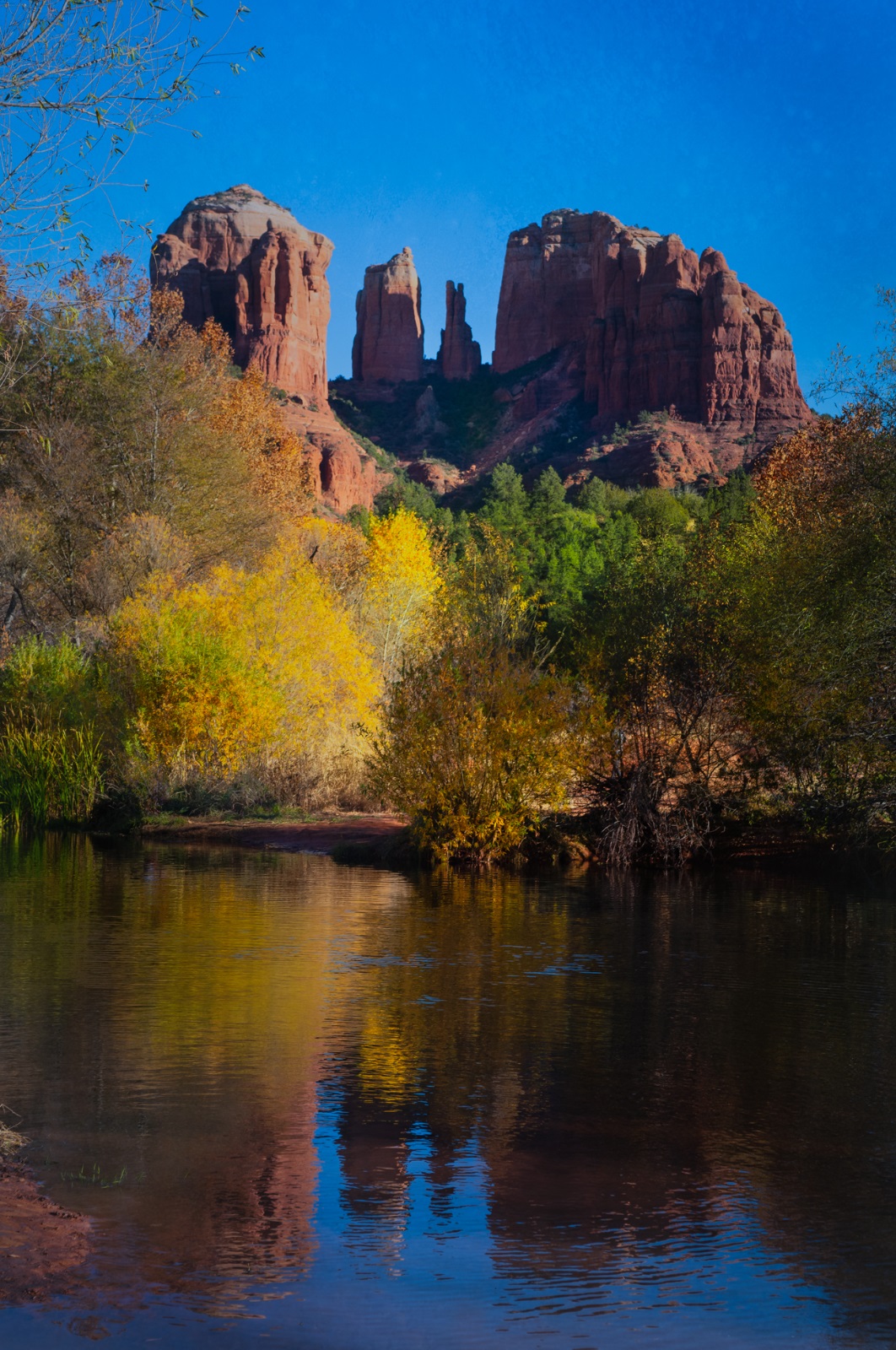 Red rocks and one green leaf